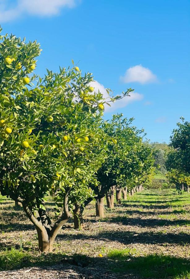 Quinta Da Boa Sorte Estoi Εξωτερικό φωτογραφία